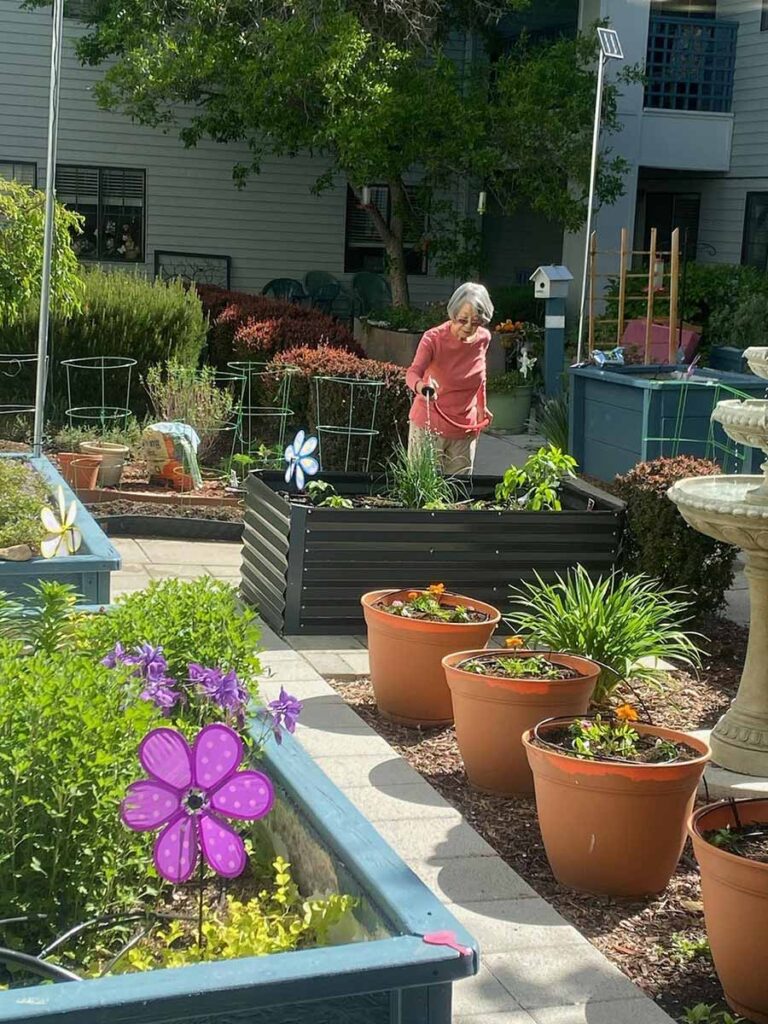 An older woman tends to a raised garden bed in a sunny courtyard filled with large potted plants, greenery, colorful pinwheel decorations, and a birdbath, with buildings and trees in the background.