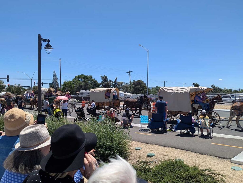People watch a parade with horses pulling covered wagons down a sunny street; some spectators wear hats and sit in lawn chairs along the sidewalk.
