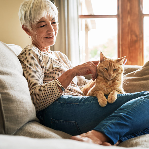 An older woman with short gray hair sits on a couch, smiling as she pets an orange tabby cat resting comfortably on her lap near a sunlit window.